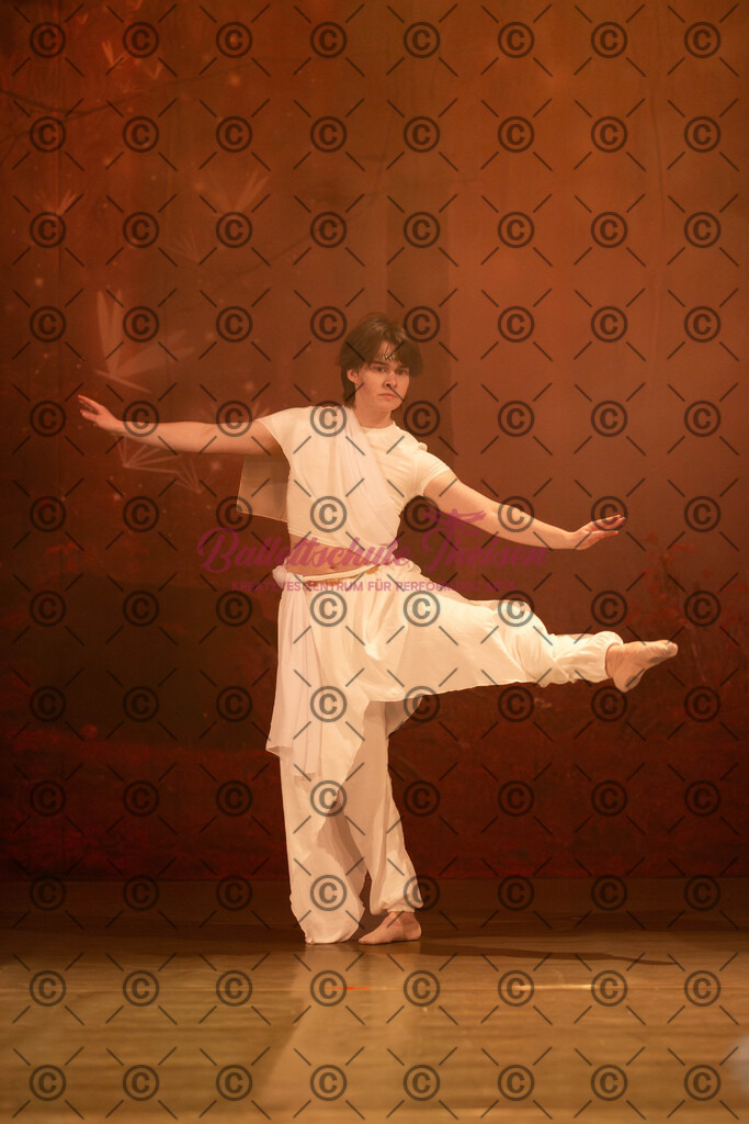 Ballettaufführung-1743 | Bildershop Lem'n Entertainment - Realisiert mit Pictrs.com
