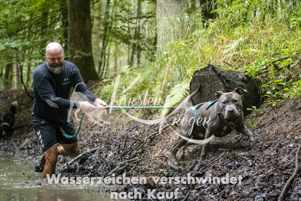 1113_ZZ90170-Bearbeitet-2 | kk-dogfotos
