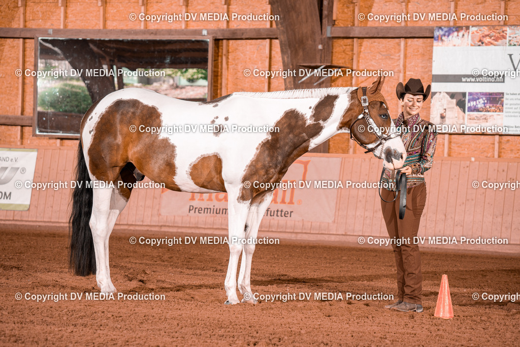 NE200041 | dv-media-shop - Realisiert mit Pictrs.com