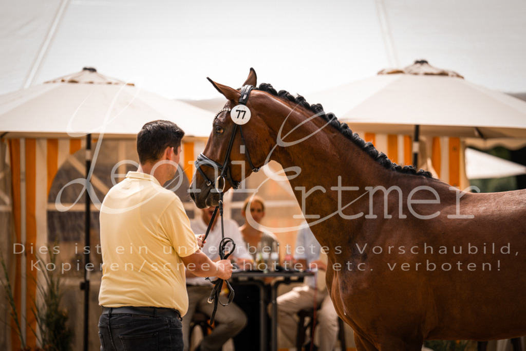 4.Fr00017 | Leoni Ertmer Photography - Realisiert mit Pictrs.com