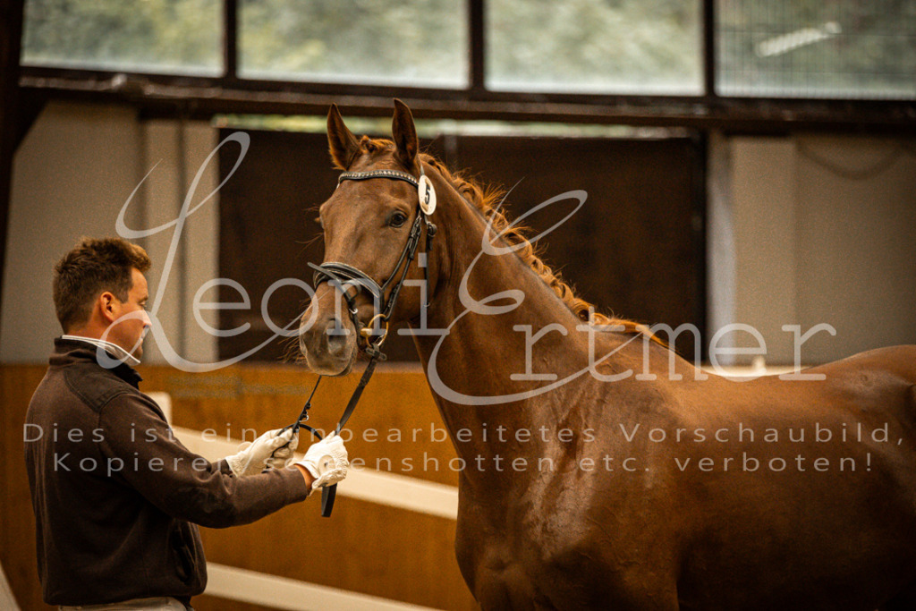 1FS_L00083 | Leoni Ertmer Photography - Realisiert mit Pictrs.com