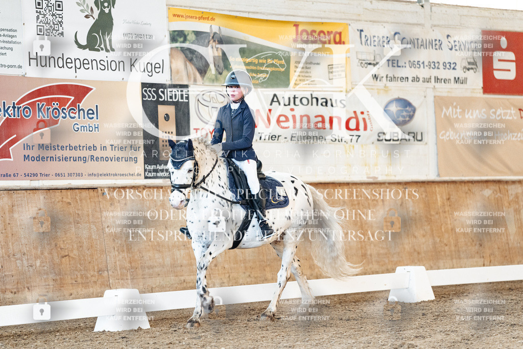 CK906885 | Turnierfotografie Pferdefotografie Trier Rheinland-Pfalz Pferdesport Reitsport Tierfotografie Sportfotografie Pferdevideo Pferdevideografie Equestrianvideography equestrianphotography  - Realisiert mit Pictrs.com