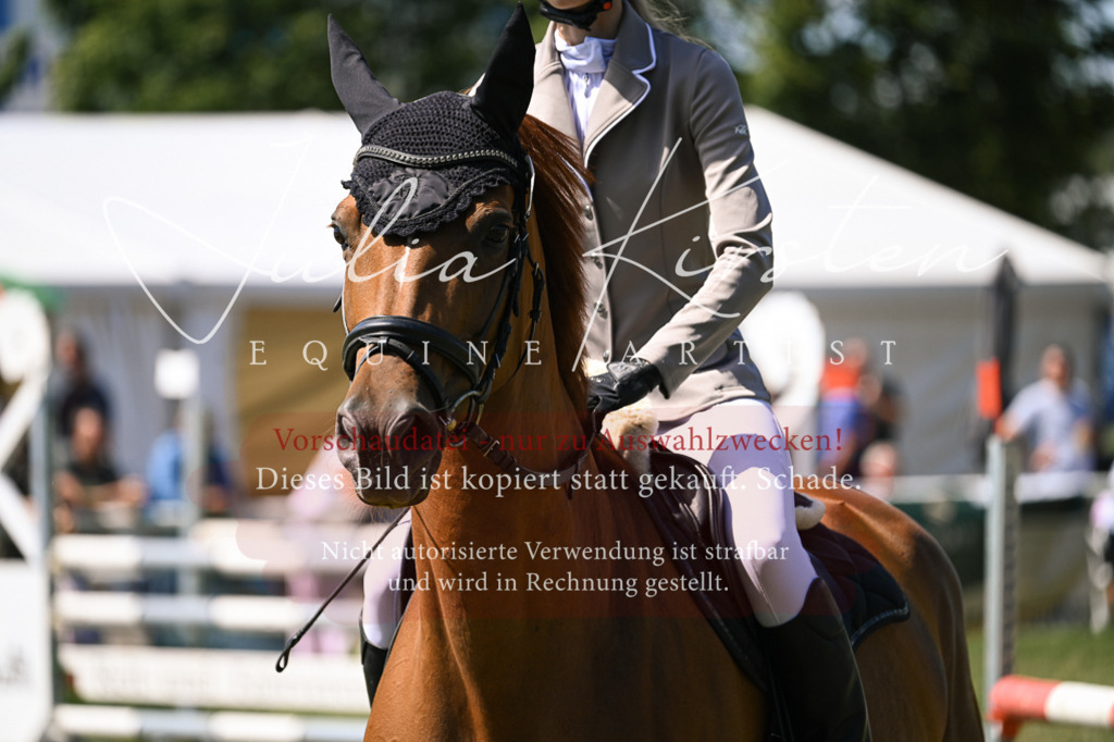 DSC_0218 | Pferde- und Turnierfotografie in Westsachsen. Pferdeportraits, Auftragszeichnungen und intuitive Kunst.