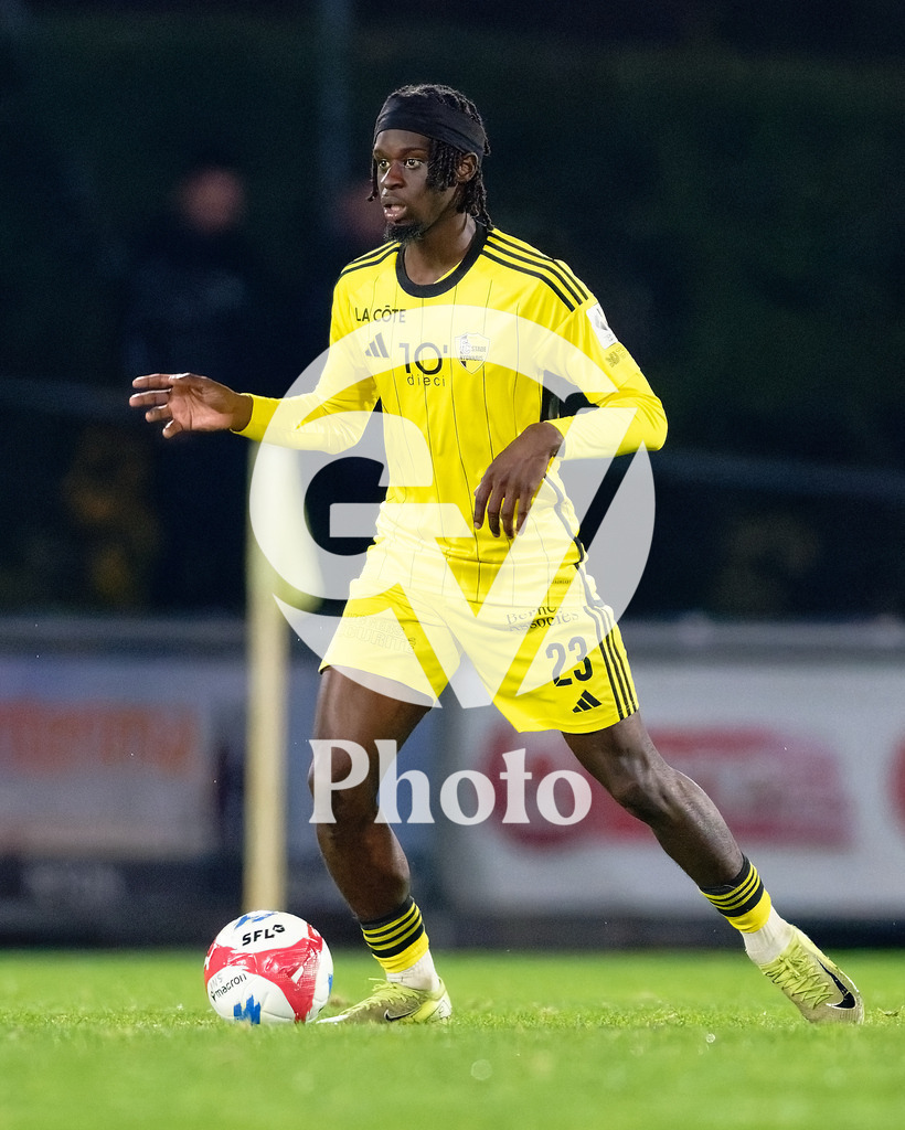 dieci Challenge League - FC Stade Nyonnais v Etoile Carouge FC |  during the dieci Challenge League match between FC Stade Nyonnais and Etoile Carouge FC at Centre sportif de Colovray in Nyon, Switzerland