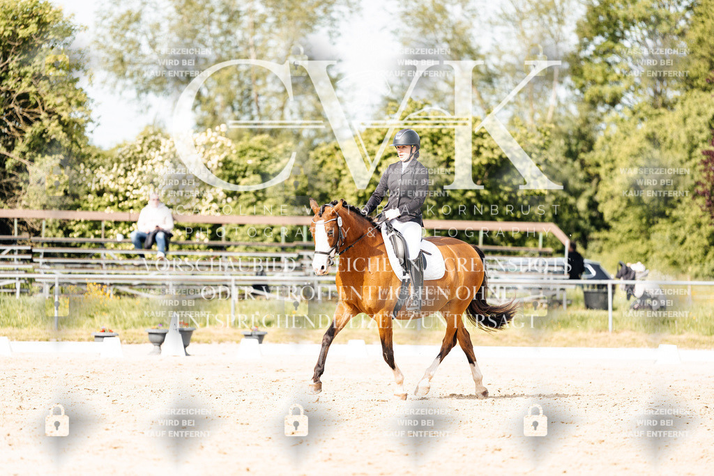 CK900540 | Turnierfotografie Pferdefotografie Trier Rheinland-Pfalz Pferdesport Reitsport Tierfotografie Sportfotografie Pferdevideo Pferdevideografie Equestrianvideography equestrianphotography  - Realisiert mit Pictrs.com