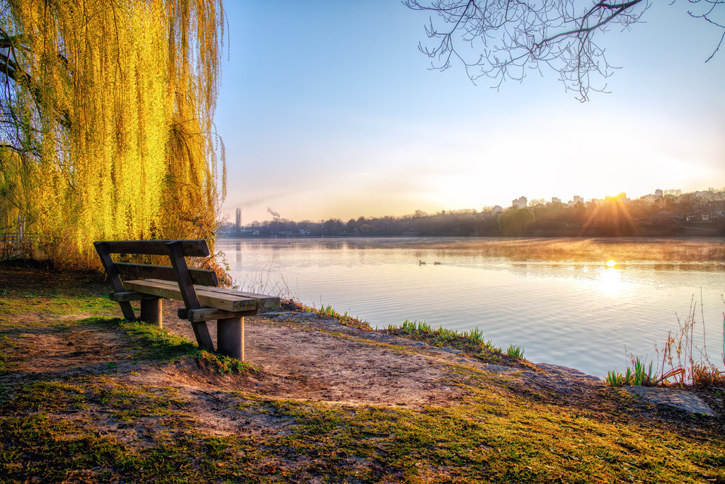 Aussicht über Max Eyth See---Stuttgart | Das Bild zeigt eine ruhige Morgen- oder Abenddämmerungsszene an einem Gewässer mit einem Steg und einer Bank im Vordergrund. Die Szene zeigt einen Moment der Ruhe am Ufer eines Gewässers.Charakteristisch sind die tief stehende Sonne, die sich im Wasser spiegelt, und der überhängende gelbe Trauerweidenbaum. - Realisiert mit Pictrs.com