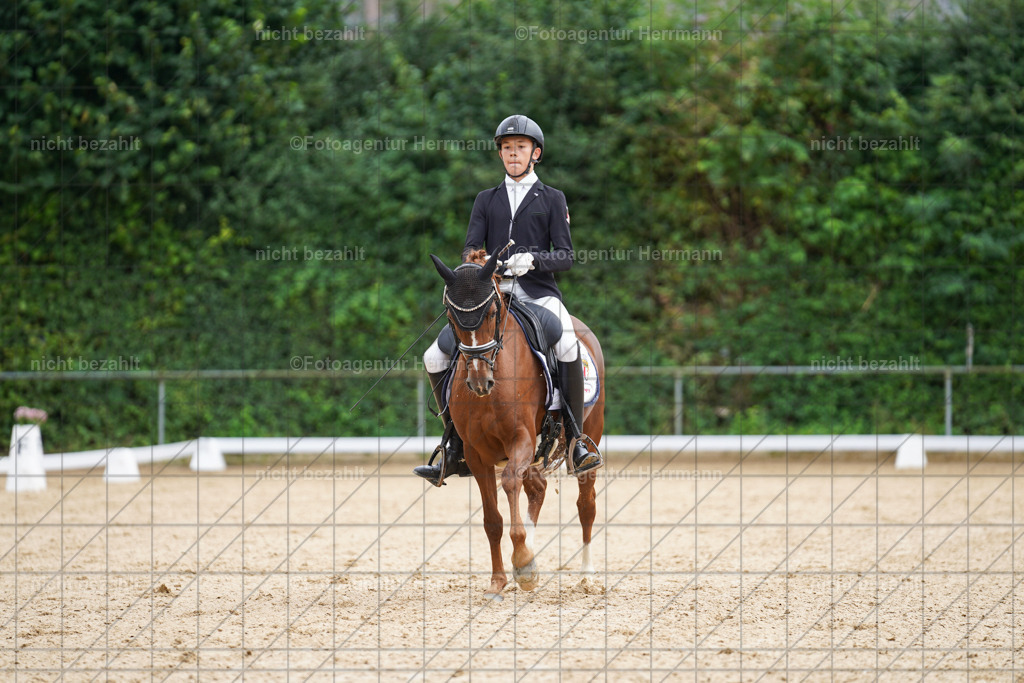 20240825-FAH09899 | Turnierbilder, Reitsportfotos, LAPO, Landesponyturnier, Turnierfotografen Bayern