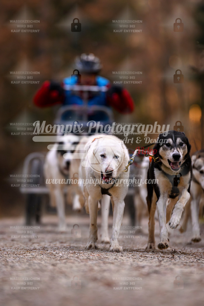 MompixPhotography_DM_AKDM_SO_2025_Wagen-28 | PayLife