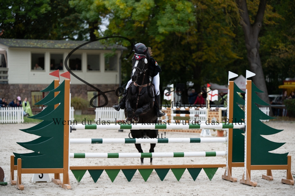 A7V09922 | Pferdefotograf