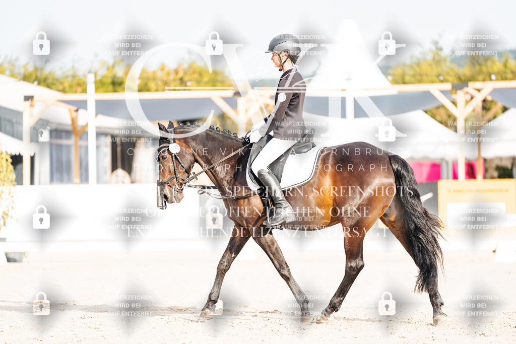 CK903854 | Turnierfotografie Pferdefotografie Trier Rheinland-Pfalz Pferdesport Reitsport Tierfotografie Sportfotografie Pferdevideo Pferdevideografie Equestrianvideography equestrianphotography  - Realisiert mit Pictrs.com