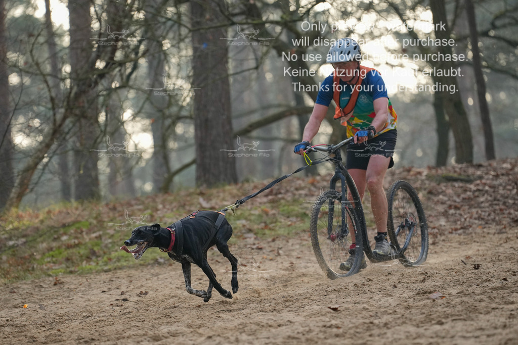 Scooter1-162 | stephaniefillaphotographie - Realisiert mit Pictrs.com