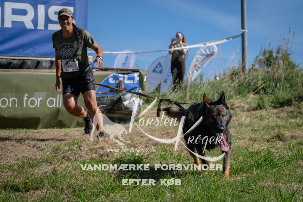 1051_ZZ99315 | kk-dogfotos