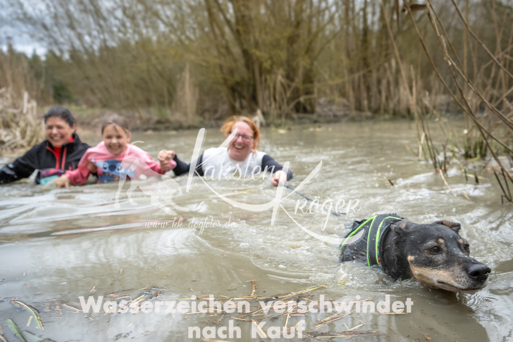 1510_ZZ92467 | kk-dogfotos