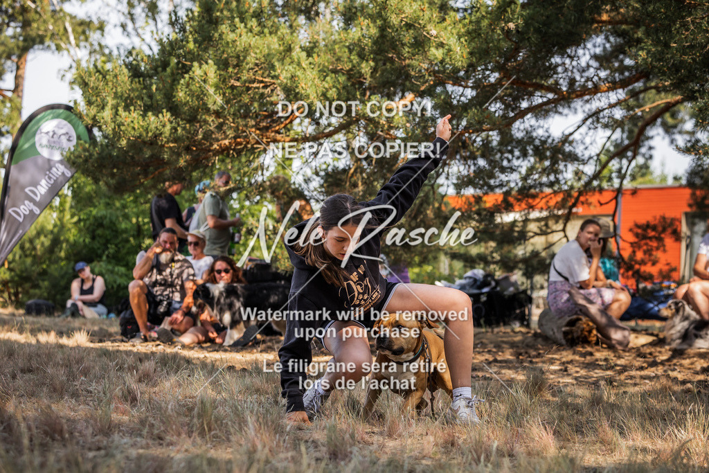 nelerasche_soDD1_370 | nelerasche