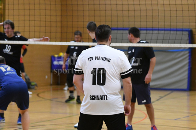 TSV Plattling Volleyball - Isarvolleys | TSV Plattling Volleyball - Isarvolleys - Realisiert mit Pictrs.com