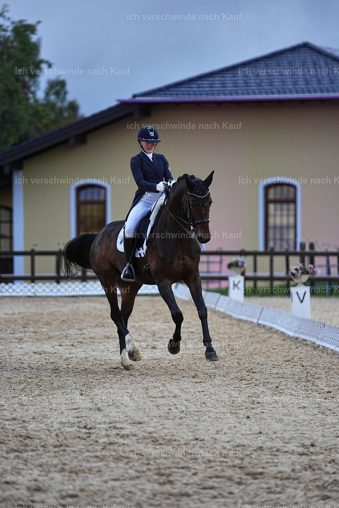 8_2-198-DRESSUR S_  -Marixx-4640 | working equitationturnier fotograf videograf stoibphotography marixx film working equitation deutschland reitsport turnierfotografie eventfotografie equestrian events