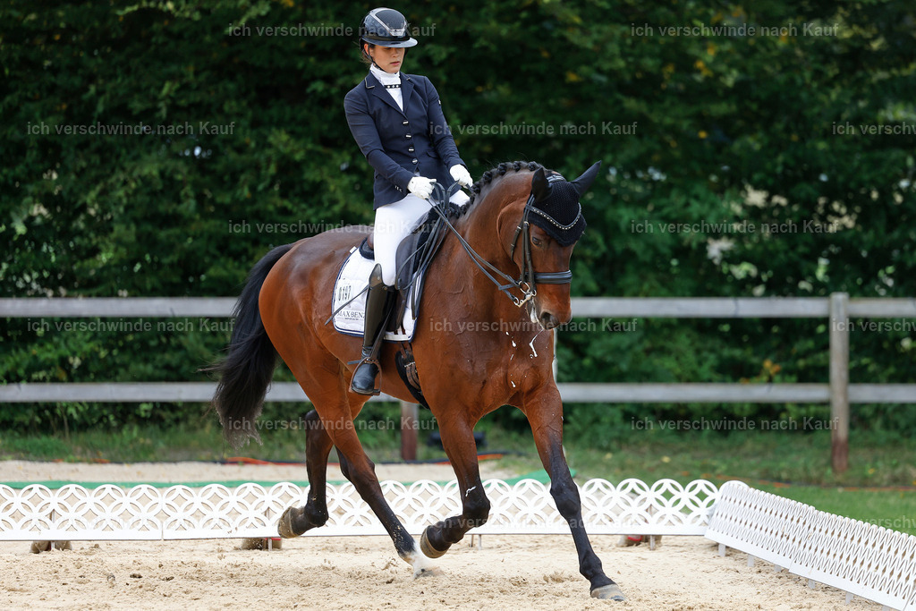 3-197-Dressur M_-StoibPH-2443 | working equitationturnier fotograf videograf stoibphotography marixx film working equitation deutschland reitsport turnierfotografie eventfotografie equestrian events