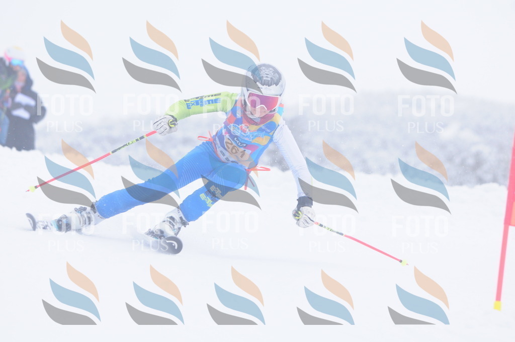 C2739 | holidayphoto