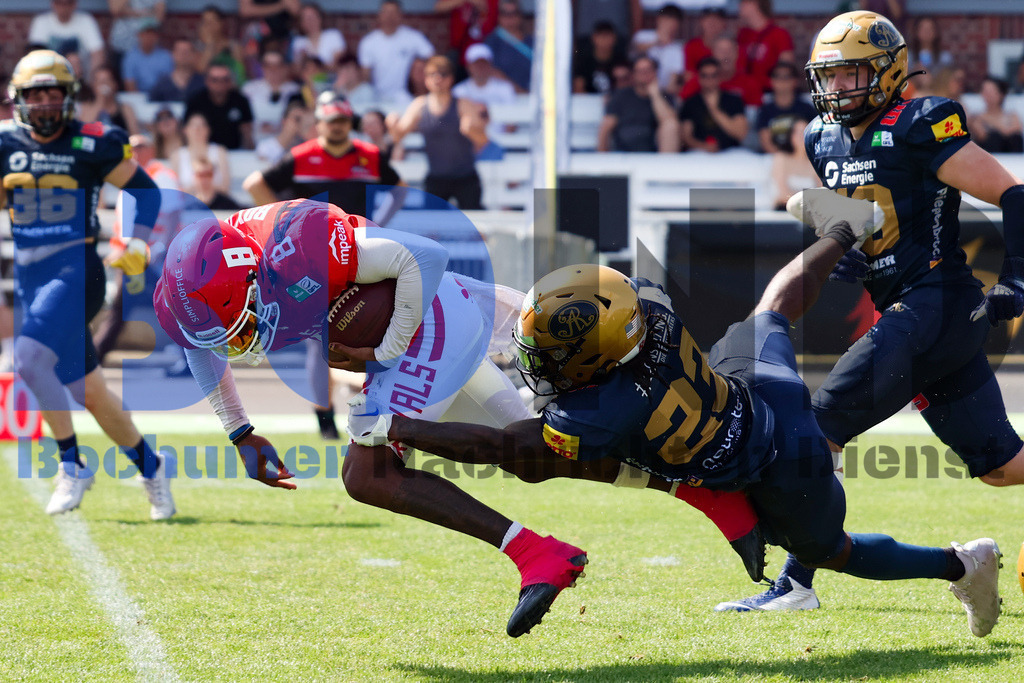 GFL: Potsdam Royals vs. Dresden Monarchs{date} -  | {headline}(Foto: Thomas Sobotzki / BOND) - Realisiert mit Pictrs.com