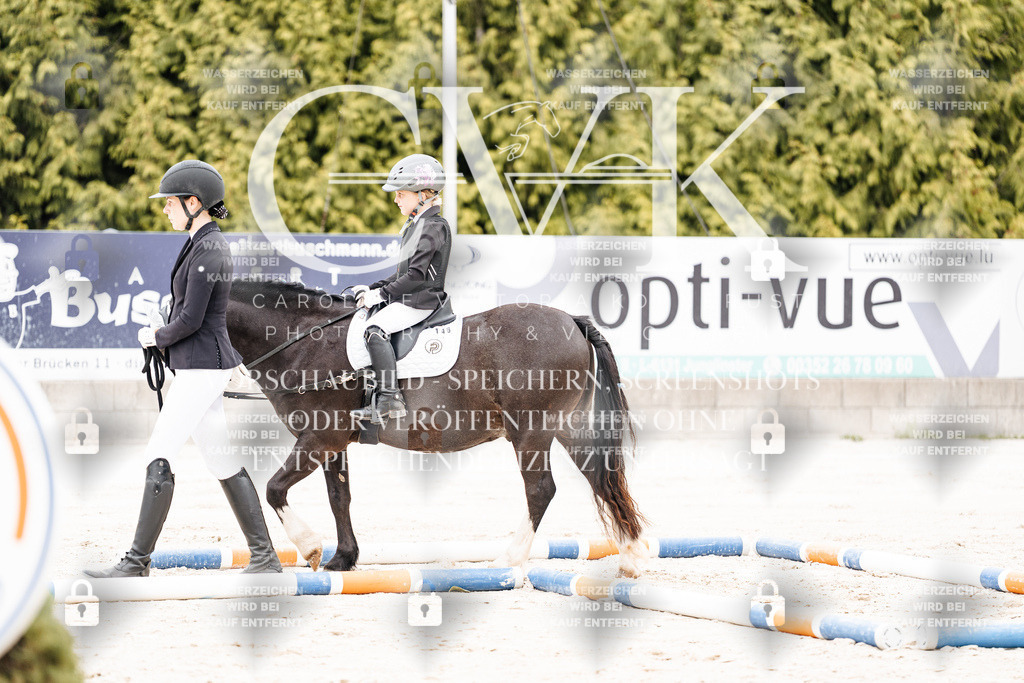 CK907387 | Turnierfotografie Pferdefotografie Trier Rheinland-Pfalz Pferdesport Reitsport Tierfotografie Sportfotografie Pferdevideo Pferdevideografie Equestrianvideography equestrianphotography  - Realisiert mit Pictrs.com