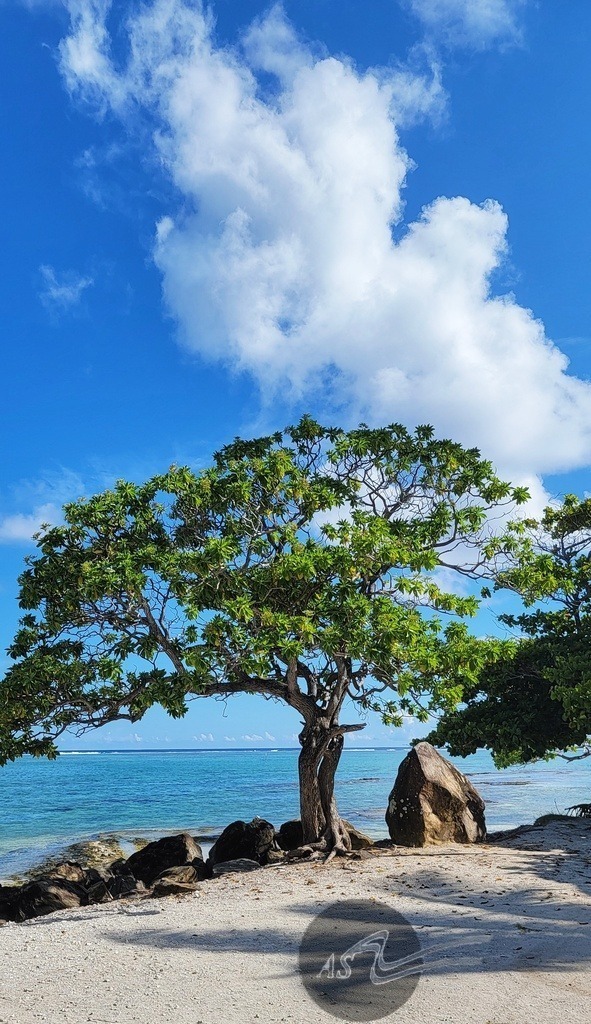 20230208_154418-01 | Angelika Schorn - Realisiert mit Pictrs.com