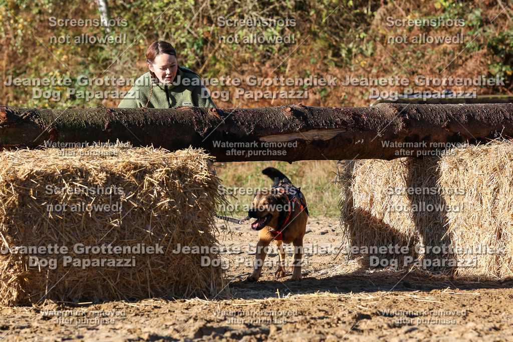 Dog Paparazzi - Strongdog 10-25-1370 | Dog Paparazzi Jeanette Grottendiek Fotografie & Videografie - Realisiert mit Pictrs.com