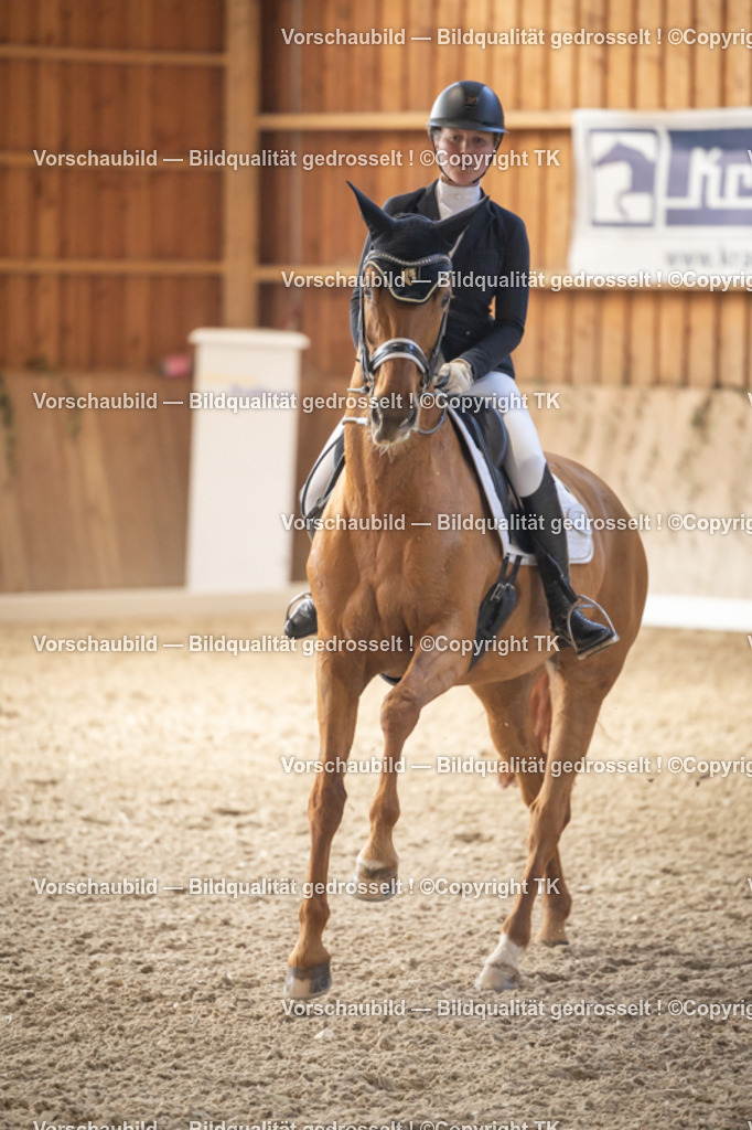 _D5A2784 | Emotionale Pferde- & People-Fotografie rund um Heidelberg, Leimen & Umgebung. Natürliche Fotos von Pferd, Mensch & Familie. Jetzt Termin sichern!