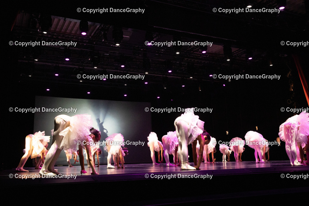 GPHY4432 | DanceGraphy - Realisiert mit Pictrs.com