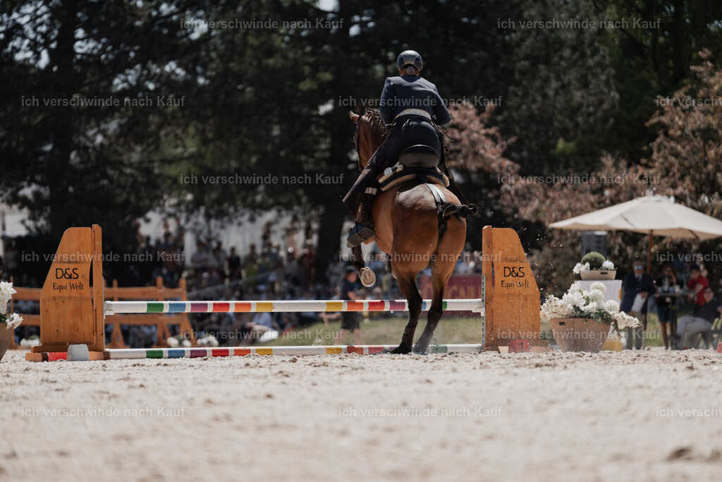 WE_SP_Stoib_313_PI2025_1767 | Pferd International München 2025