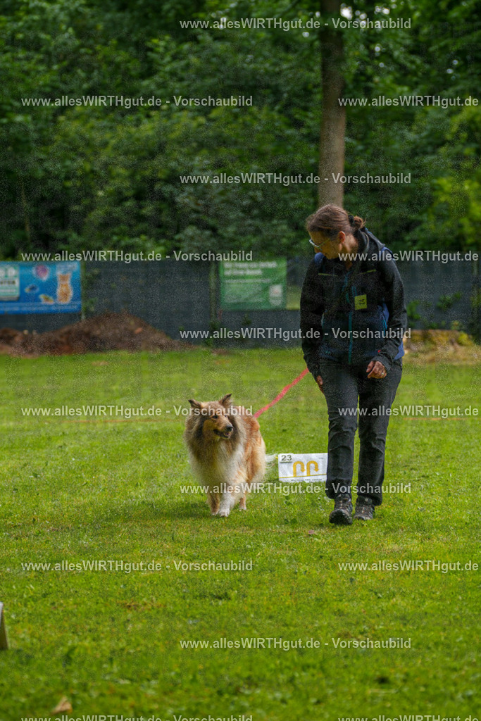 @allesWIRTHgut_Tierfotografie - www.allesWIRTHgut.de - 7R503071 | Professionelle Tierfotografie in Mönchengladbach von Daniel Wirth (allesWIRTHgut). Liebevolle & natürliche Bilder von Hunden & Katzen für unvergessliche Erinnerungen.