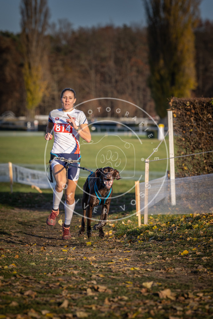 CaniXpix_DV3A3099 | Hundefotografie, Tierfotograf, Pfotenfotografie, Fotoshooting Hund, Hunde Portrait, Hundesport, Hundeportraits, Heideshooting, Hunde, Sportfotograf, Hundefotograf, Turnierhundsport, THS,  - Realisiert mit Pictrs.com