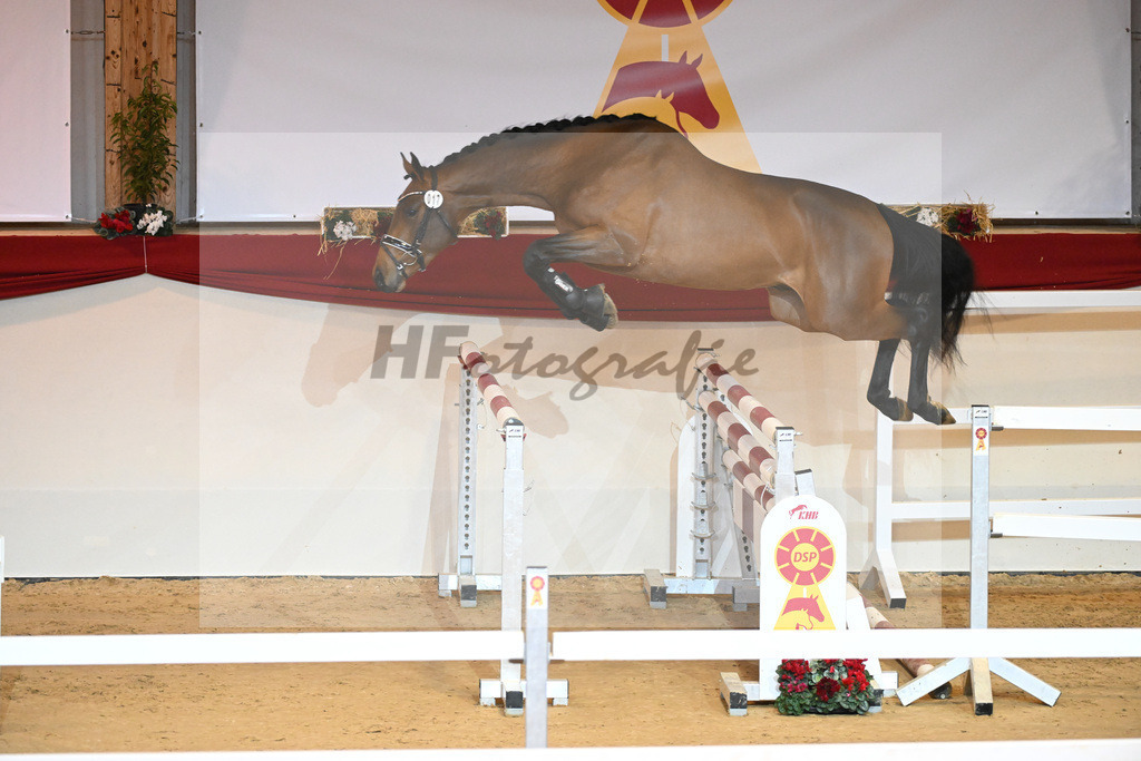 Kat-Nr. 17 Cullinan du Borget_Keitel u Tischer_1230867 | hf-fotografie - Realisiert mit Pictrs.com