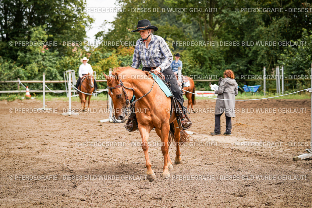 DSC06512 | Pferdegrafie