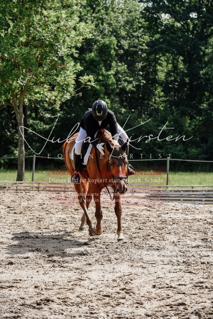 DSC_0346 | Pferde- und Turnierfotografie in Westsachsen. Pferdeportraits, Auftragszeichnungen und intuitive Kunst.