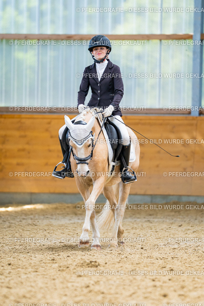 DSC09677 | Pferdegrafie