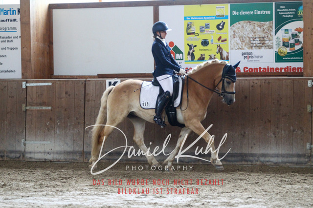 DKP44360 | Turniersportfotografie; Pferdefotografie; Dressurfotografie