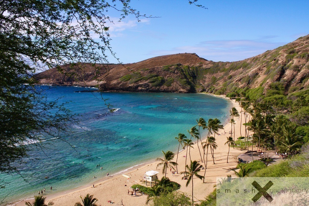 Beachview | Oahu, Hawaii (USA)