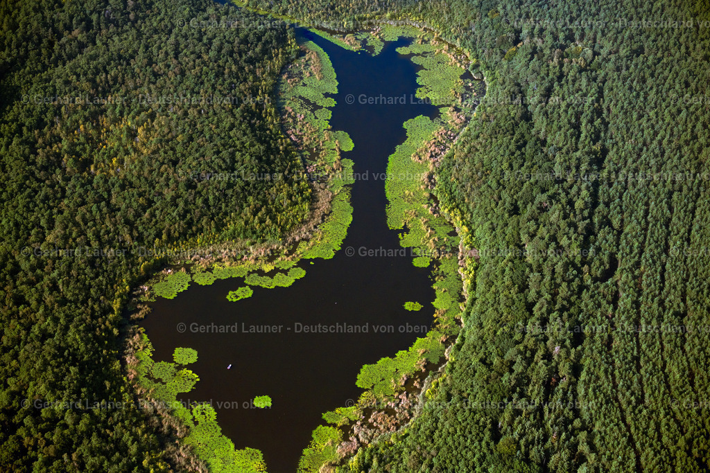 4062301 | ROGGENTIN 08.09.2021 Blick auf eine Seenlandschaft in Roggentin im Bundesland Mecklenburg-Vorpommern. Zu sehen sind die von einer Waldlandschaft umgebenen Seen Mössel (vorne),Leppinsee (mittig) und Woterfitzsee (hinten). // View of a seascape in Roggentin in the state Mecklenburg-West Pomerania. Foto: Gerhard Launer