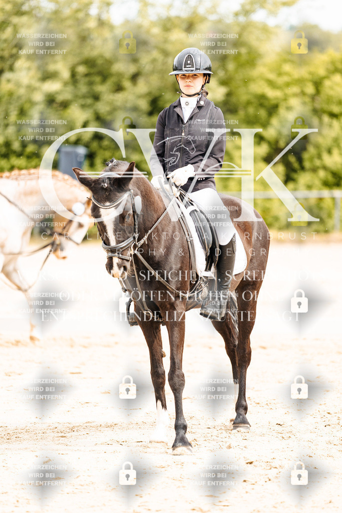 CK904409 | Turnierfotografie Pferdefotografie Trier Rheinland-Pfalz Pferdesport Reitsport Tierfotografie Sportfotografie Pferdevideo Pferdevideografie Equestrianvideography equestrianphotography  - Realisiert mit Pictrs.com