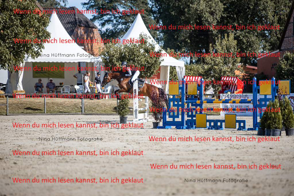 BK1A7123 | Turnierbilder Turnierfotos Nina Hüffmann Turnierfotografie Pferdefotografie Tierzeichnung Haustierzeichnung Pferdezeichnung Hundezeichnung Videograf  - Realisiert mit Pictrs.com
