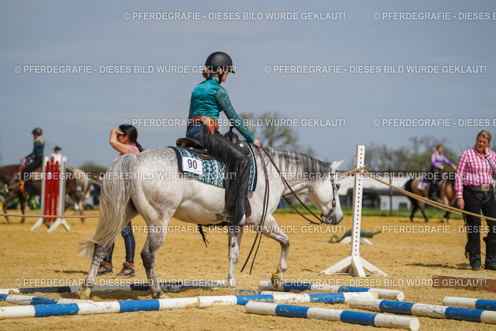 DSC04572 | Pferdegrafie