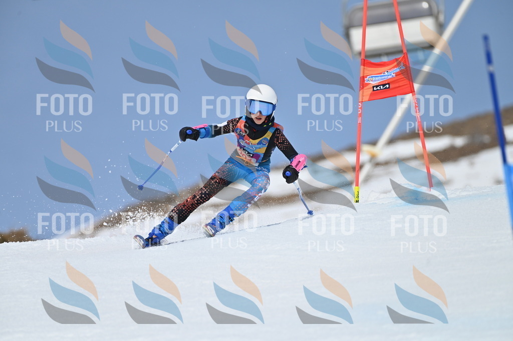 BGV_2620 | holidayphoto