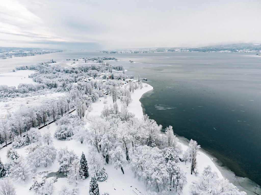 Radolfzellbilder_0088 | Mitte Januar 2021 hatten wir außergewöhnlich schneereiche Wintertage - Realisiert mit Pictrs.com