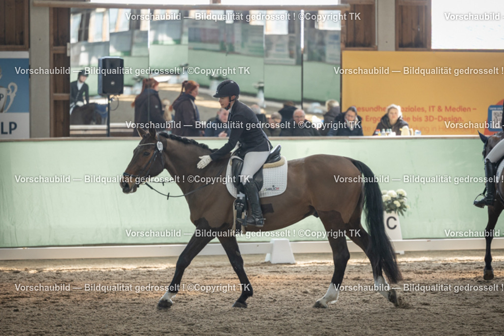 _D5A8400 | Emotionale Pferde- & People-Fotografie rund um Heidelberg, Leimen & Umgebung. Natürliche Fotos von Pferd, Mensch & Familie. Jetzt Termin sichern!