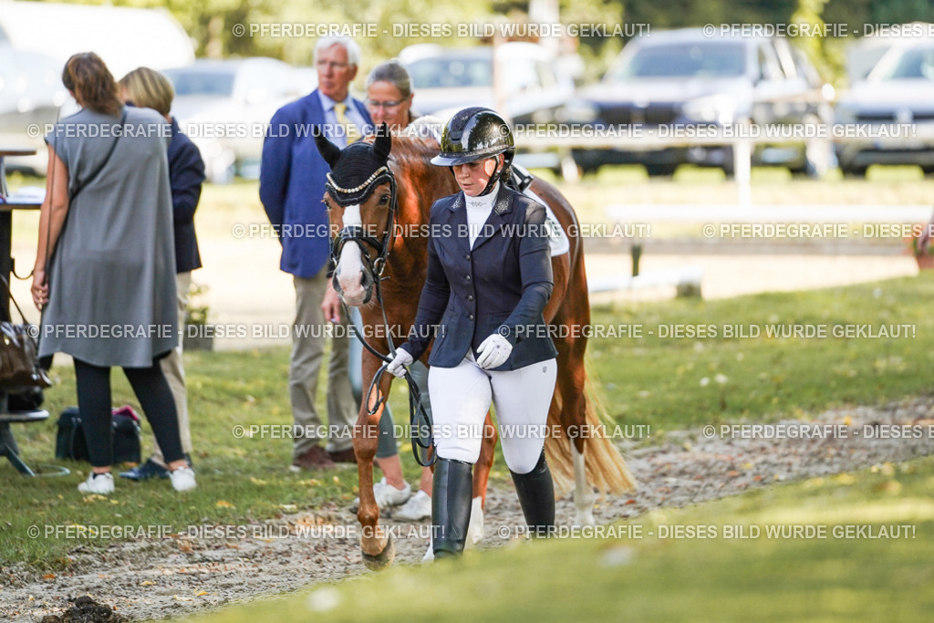 DSC06679 | Pferdegrafie