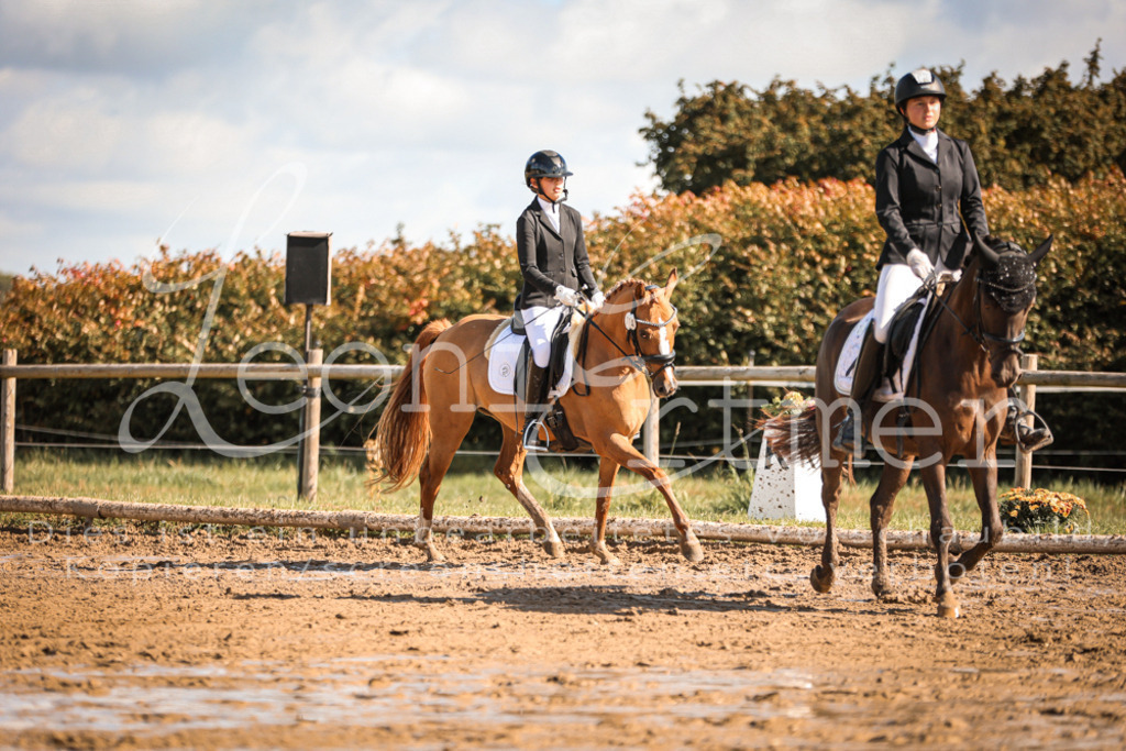 07.SoDrE00303 | Leoni Ertmer Photography - Realisiert mit Pictrs.com