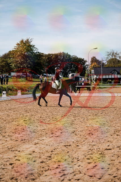 2026_10_03_Siefer-Hof_133509_Z63_94263650 | Professionelle Reitsport-, Turnier- und Eventfotografie von Robert Broda. Galerien mit ausgewählten und bearbeiteten Bildern direkt online ansehen und bestellen.