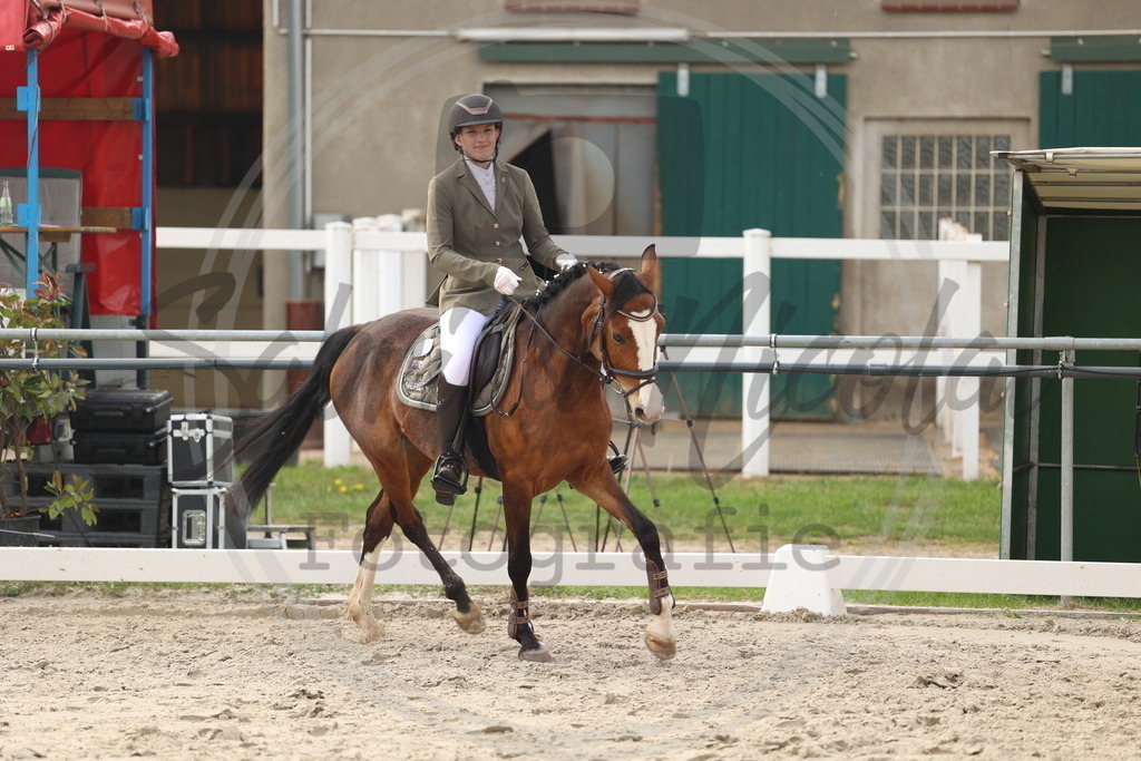 994A7859 | sabrinanicolaifotografie - Realisiert mit Pictrs.com