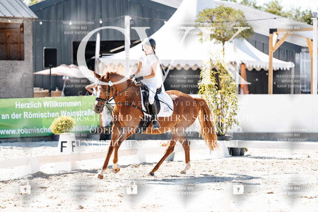 CK902546 | Turnierfotografie Pferdefotografie Trier Rheinland-Pfalz Pferdesport Reitsport Tierfotografie Sportfotografie Pferdevideo Pferdevideografie Equestrianvideography equestrianphotography  - Realisiert mit Pictrs.com