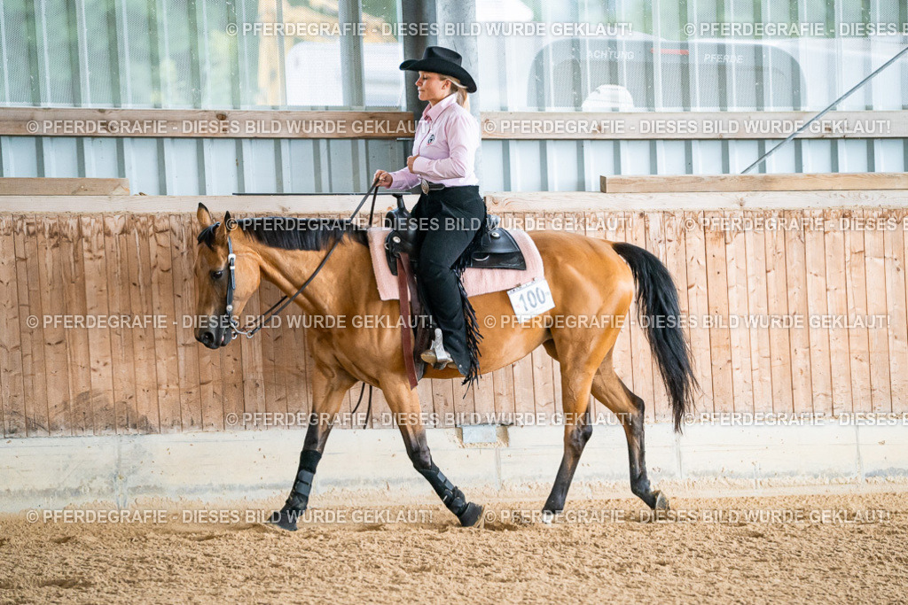 DSC09894 | Pferdegrafie